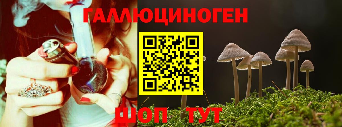 Коркино  Псилоцибиновые грибы мухоморы  Вход с VPN  Псилоцибиновые грибы GOLDEN TEACHER 