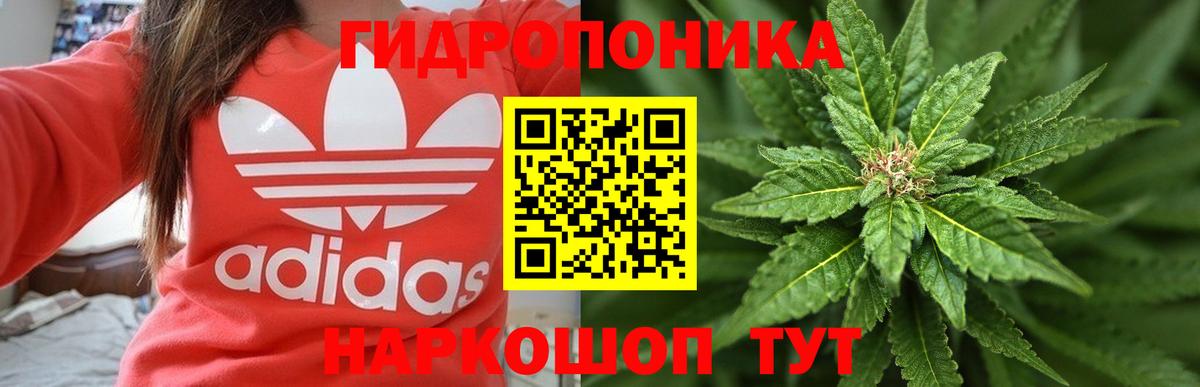 Бошки марихуана White Widow  Вход с VPN  Коркино  Каннабис THC 21%  Конопля Amnesia 
